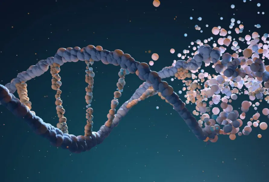 微信圖片_20220321083423.png 微信圖片_20220321083423.png